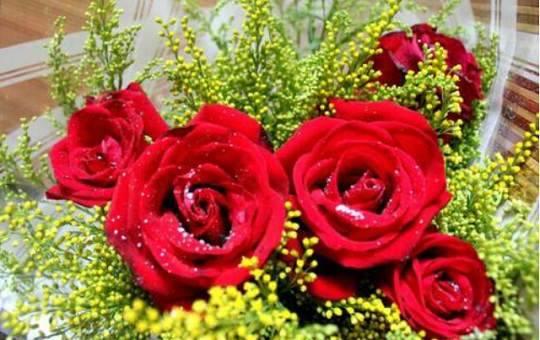 北京韋林意威特工業(yè)內(nèi)窺鏡有限公司預(yù)祝大家新年快樂，喜樂安康！